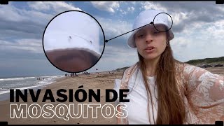 ESTA PLAYA ESTA LLENA DE MOSQUITOS 🦟 😰  Valeria Del Mar 🇦🇷 [upl. by Mcquoid]