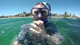 Snorkeling at Cottesloe Beach on a Good Day Perth WA [upl. by Wadsworth]