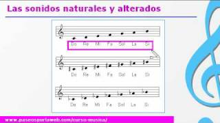 Curso de música  Las notas y sonidos musicales [upl. by Yenolem]