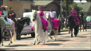 Andalusian Horse Garrido in the Mexican Independence Day Parade 92010 Part 1 [upl. by Aital551]