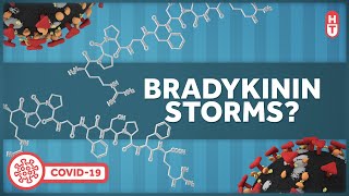 Bradykinin Storms and Covid Inflammation [upl. by Nitsoj]