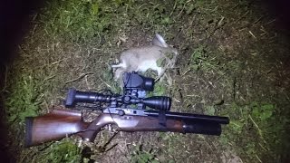 Pest Control with Air Rifles  Ratting in the Fog [upl. by Durning328]