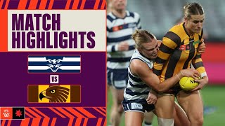 Geelong v Hawthorn Highlights  Week Five 2024  AFL [upl. by Aleetha609]