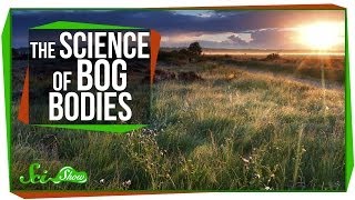 Chemistry amp Corpses The Science of Bog Bodies [upl. by Flo]