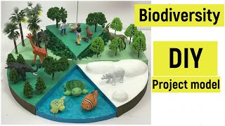 Biodiversity project model  Biodiversity and conservation  Importance of biodiversity [upl. by Garner]