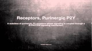 Medical vocabulary What does Receptors Purinergic P2Y mean [upl. by Oswald]