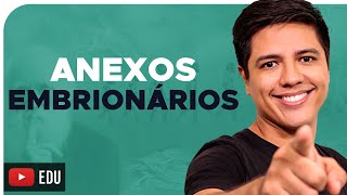 ANEXOS EMBRIONÁRIOS  EMBRIOLOGIA  Prof Kennedy Ramos [upl. by Norihs]