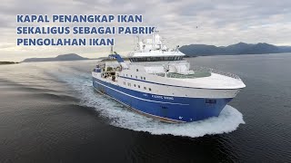 KAPAL PENANGKAP IKAN CANGGIH SEKALIGUS SEBAGAI PABRIK PENGOLAHAN IKAN [upl. by Terpstra778]