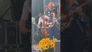 Stranded  Sierra Hull 81024 Grand Targhee Bluegrass Festival sierrahull [upl. by Mahtal523]