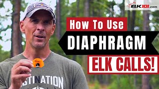 Learn to Use Diaphragm Elk Calls [upl. by Island]