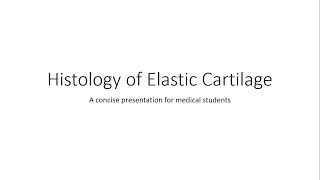 Elastic Cartilage  Histology [upl. by Owain624]