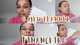 PLANNER FINANCEIRO PARA JUNTAR DINHEIRO [upl. by Neirrad]