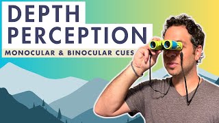 Monocular Cues and Binocular Cues  AP Psychology  What is Depth Perception [upl. by Amathist]