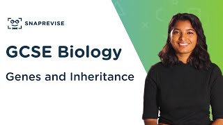 Genes and Inheritance  91 GCSE Science Biology  OCR AQA Edexcel [upl. by Erodroeht567]