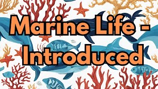 Marine Life  Introduced [upl. by Vins]