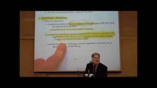 PHARMACOLOGY NARCOTIC ANALGESICS by Professor Fink [upl. by Nytsirt]