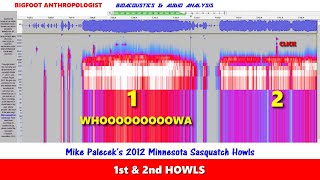 Mike Paleceks 2012 Minnesota Sasquatch Howls analyzed by Bigfoot Anthropologist [upl. by Larrabee]