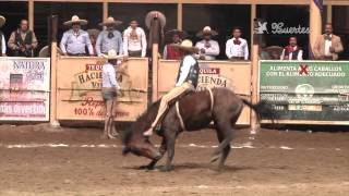 Los 5 Mejores Jineteos de Yegua  Nacional Charro Jalisco 2014 [upl. by Aleik]