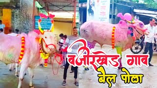 वाऱ्यावर्ती गंध पसरला वजीरखेडे गाव माझे  bail pola video [upl. by Nylacaj]