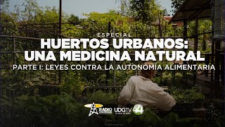 Huertos urbanos Una medicina natural  Parte I Leyes contra la autonomía alimentaria [upl. by Ieluuk]