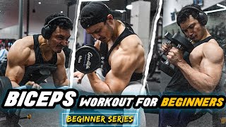 BIG BICEPS WORKOUT for BEGINNERS in HINDI बाइसेप्स वर्कआउट बिगिनर्स के लिए [upl. by Libby]