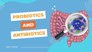 BEST probiotic supporting your gut health while on antibiotics [upl. by Ydnar]