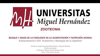 umh2309  Autoevaluación 4 Anatomía y fisiología animal [upl. by Gaye]