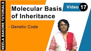 Molecular Basis of Inheritance  NEET  Genetic Code  Neela Bakore Tutorials [upl. by Dasya]