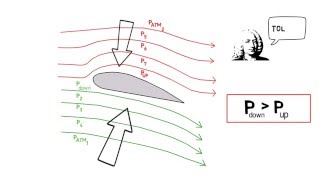 Part 2  Coanda effect Bernoullis Principle and Lift [upl. by Stiruc]