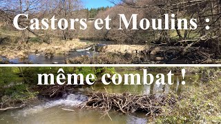 Castors et Moulins  même combat [upl. by Edy]