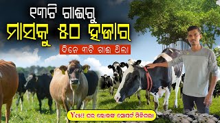 ମାସକୁ ୫୦ ହଜାର ଟଙ୍କା ରୋଜଗାର କରୁଛନ୍ତି ୧୩ ଟି ଗାଈରୁ  Dairy farm in Odisha  How to start dairy farm [upl. by Robers]