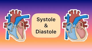 Systole und Diastole [upl. by Naloc]