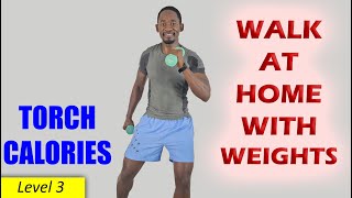 🔥TORCH CALORIES FAST  30 Min Walk at Home Workout with Weights🔥 [upl. by Tomasz243]