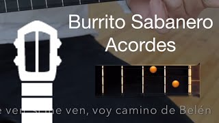 Burrito Sabanero  Canta con el Cuatro [upl. by Nodroj592]