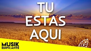 AUNQUE MIS OJOS NO TE PUEDAN VER  HERMOSAS ALABANZAS DE ADORACION  MUSICA CRISTIANA LO MEJOR [upl. by Liarret]