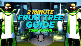 2 Minute Fruit Tree Guide OSRS [upl. by Ahsirak]