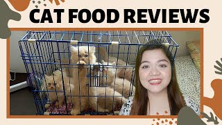 CAT FOOD REVIEWS  PRINCESS VS SPECIAL CAT VS CUTIES VS SMARTHEART VS POWERCAT  100 HONEST REVIEW [upl. by Alaekim136]