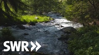 Südtirol Gardasee Adria  die Etsch  SWR Geschichte amp Entdeckungen [upl. by Omidyar]