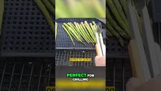 Grilling Asparagus on a Charcoal Grill Easy and Delicious Recipe [upl. by Iatnohs637]