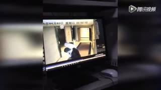 Outraging woman nearly abducted in Beijing hotel hallway no immediate help from hotel or police [upl. by Bjork]