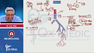 NEUMOLOGÍA Resumen integral INDICE en DESCRIPCIONIRAEPIDCOVIDEPOCTEPTBCCA  QX MEDIC 2023 [upl. by Ahsinyd]