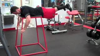 Reverse Hyperextension [upl. by Kapor]