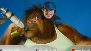 REACTION orangutan asmr [upl. by Drape]