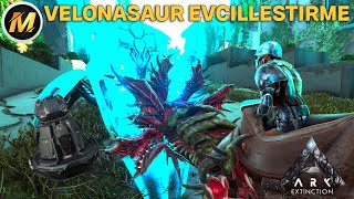 VELONASAUR EVCİLLEŞTİRME I ARK SURVİVAL EVOLVED EXTİNCTİON I BÖLÜM 6  MODSUZ [upl. by Lessard]