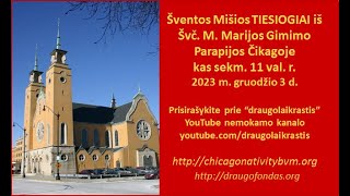 03December2023 Holy Mass at Nativity BVM in Lithuanian [upl. by Augustina]