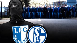 Schalker Szene dreht den Spieß um [upl. by Ahsinnod]