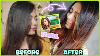 Hair Highlights at Home at just 160 Rs  Streax Ultralights Hair highlighting kit Soft Blonde [upl. by Sturges]