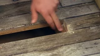 How to Fix and Repair Damaged Deck Boards  Mitre 10 Easy As DIY [upl. by Georgie]