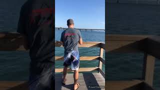 Anna Maria Island Pier Fishing [upl. by Resee]