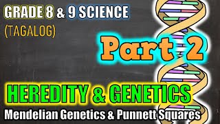 Genetics amp Heredity  Punnett Squares  Gr 8 amp 9 Part 2  Tagalog [upl. by Camala449]